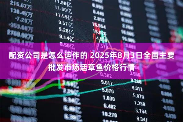 配资公司是怎么运作的 2025年8月3日全国主要批发市场活草鱼价格行情